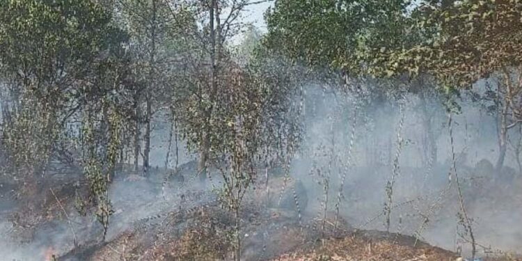 ಪುತ್ತೂರು: ವಿವಿಧೆಡೆ ಏಕಕಾಲದಲ್ಲಿ ಅಗ್ನಿ ಅವಘಡ..!!