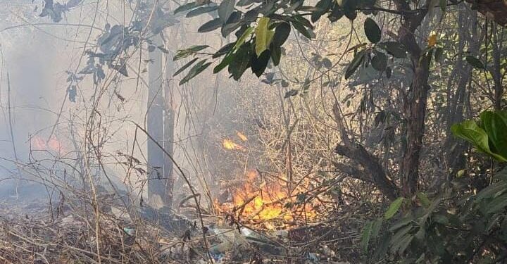 ಮುಕ್ರಂಪಾಡಿ : ಗುಡ್ಡದಲ್ಲಿ ಅಗ್ನಿ ಅವಘಡ..!!!