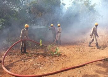ಅಜ್ಜಿನಡ್ಕ : ಪಟಿಕಲ್ಲು ಜಾಗದಲ್ಲಿ ಬೆಂಕಿ ಅವಘಡ : ಬೆಂಕಿ ನಂದಿಸುವಲ್ಲಿ ಅಗ್ನಿಶಾಮಕ ದಳ ಯಶಸ್ವಿ