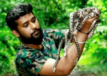 ಹಾವು ಕಡಿತಕ್ಕೊಳಗಾದ ವೇಳೆ ಬಾಯಿಯಿಂದ ವಿಷ ಹೀರುವ ಪ್ರಕ್ರಿಯೆಗೆ ಯಾರೂ ಮುಂದಾಗಬಾರದು ; ಆಸ್ಪತ್ರೆಗೆ ಸೇರಿಸಿ..- ಉರಗತಜ್ಞ ತೇಜಸ್