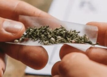 ಮಣಿಪಾಲ: ಸಾರ್ವಜನಿಕ ಸ್ಥಳದಲ್ಲಿ ಗಾಂಜಾ ಸೇವನೆ: ಐವರು ವಿದ್ಯಾರ್ಥಿಗಳು ಪೊಲೀಸ್ ವಶಕ್ಕೆ