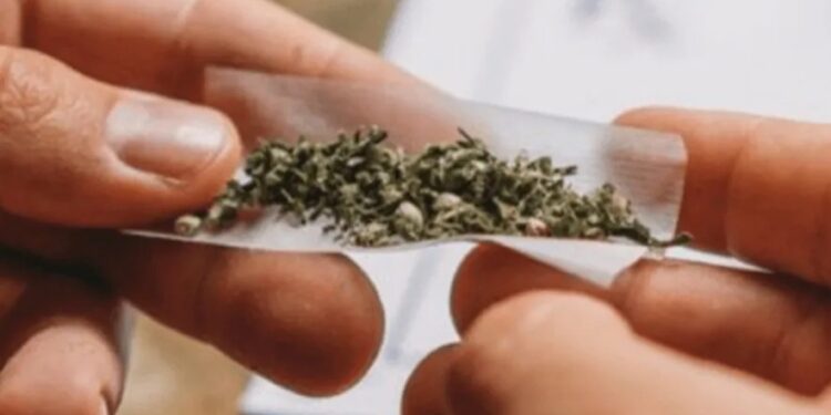 ಮಣಿಪಾಲ: ಸಾರ್ವಜನಿಕ ಸ್ಥಳದಲ್ಲಿ ಗಾಂಜಾ ಸೇವನೆ: ಐವರು ವಿದ್ಯಾರ್ಥಿಗಳು ಪೊಲೀಸ್ ವಶಕ್ಕೆ