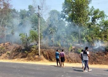 ವಿಟ್ಲ : ಉರಿಮಜಲು ಸಮೀಪ ಗುಡ್ಡಕ್ಕೆ ಬೆಂಕಿ..!!!