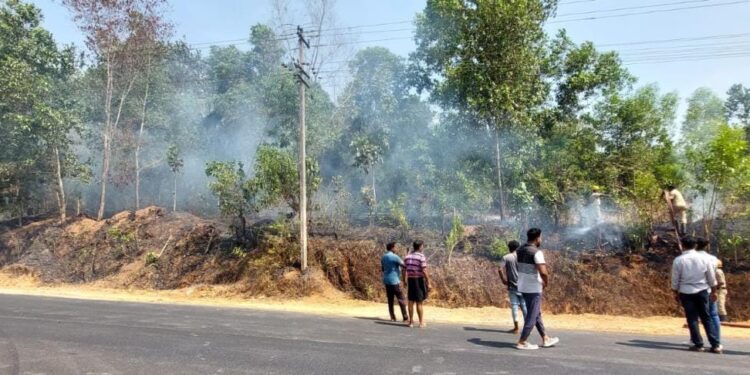 ವಿಟ್ಲ : ಉರಿಮಜಲು ಸಮೀಪ ಗುಡ್ಡಕ್ಕೆ ಬೆಂಕಿ..!!!
