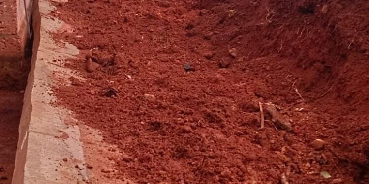 ಬೆಳ್ತಂಗಡಿ : ಮೊದಲ ಮಳೆಗೆ ಕುಸಿದು ಬಿದ್ದ ತಡೆಗೋಡೆ..!!!