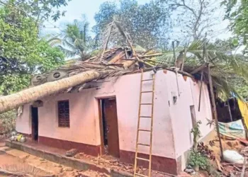 ಬೆಳ್ತಂಗಡಿ: ತೆಂಗಿನ ಮರ ಬಿದ್ದು ಮನೆಗೆ ಹಾನಿ