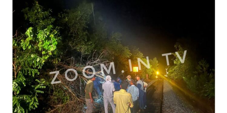 ಪುತ್ತೂರು : ಭಾರೀ ಗಾಳಿ ಮಳೆ : ಎಪಿಎಂಸಿ ರಸ್ತೆಯ ಅಂಡರ್ ಪಾಸ್ ಬಳಿ ಧರೆಗುರುಳಿದ ಮರ..!!!