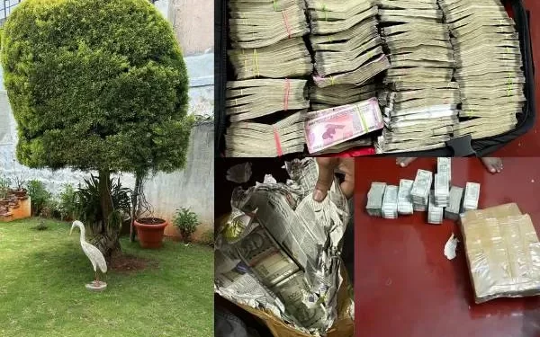 ಪುತ್ತೂರು ಮೂಲದ ವ್ಯಕ್ತಿಯ ಮೈಸೂರಿನಲ್ಲಿರುವ ಮನೆಗೆ ಐಟಿ ದಾಳಿ : ಗಿಡದಲ್ಲಿ ನೇತು ಹಾಕಿದ್ದ 1 ಕೋಟಿ. ರೂ. ವಶ..!!!