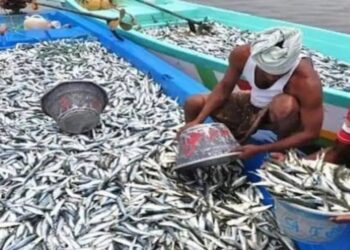 ಕರಾವಳಿಯಲ್ಲಿ 61 ದಿನ ಮೀನುಗಾರಿಕೆ ನಿಷೇಧ..!!!