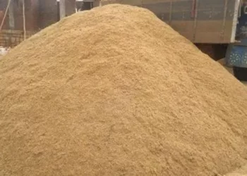 ಅಕ್ಟೋಬರ್‌ 15ರ ವರೆಗೆ ಮರಳುಗಾರಿಕೆ ನಿಷೇಧ