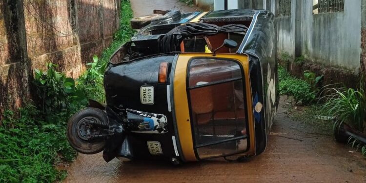 ಪುಣಚ : ಆಟೋರಿಕ್ಷಾ ಪಲ್ಟಿ : ಚಾಲಕ ಸಾವು