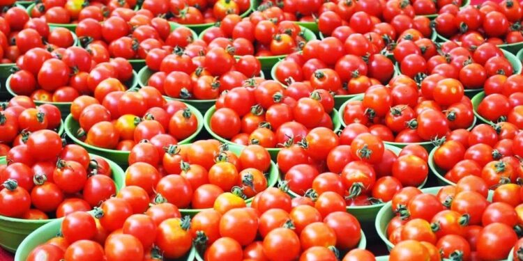 ಶತಕದ ಹೊಸ್ತಿಲಲ್ಲಿ ಕೆಜಿ ಟೊಮ್ಯಾಟೊ : ದಿಢೀರ್ ಬೆಲೆ ಏರಿಕೆಗೆ ಕಾರಣ ಏನು ಗೊತ್ತಾ.!??