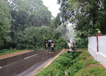 ವೀರಕಂಭ : ರಸ್ತೆಗೆ ಅಡ್ಡಲಾಗಿ ಬಿದ್ದ ಮರ : ಗ್ರಾ.ಪಂಚಾಯತ್ ಅಧ್ಯಕ್ಷ ಹಾಗೂ ಸ್ಥಳೀಯರಿಂದ ತೆರವು
