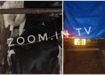 ಪುತ್ತೂರು : ಹಿಂ.ಜಾ.ವೇ ಕಾರ್ಯಾಚರಣೆ : ಅಕ್ರಮ ಗೋ ಸಾಗಾಟ ತಡೆದು ಪೊಲೀಸರಿಗೊಪ್ಪಿಸಿದ ಕಾರ್ಯಕರ್ತರು