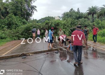 ನೇರಳಕಟ್ಟೆ : ರಸ್ತೆಗೆ ಅಡ್ಡಲಾಗಿ ಬಿದ್ದ ಮರ : ಮಾಣಿ-ಮೈಸೂರು ಹೆದ್ದಾರಿ ಬಂದ್ ; ವಾಹನ ಸಂಚಾರ ಅಸ್ತವ್ಯಸ್ತ