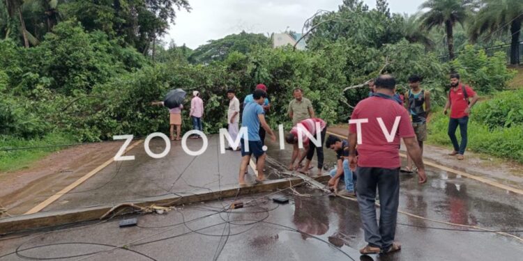 ನೇರಳಕಟ್ಟೆ : ರಸ್ತೆಗೆ ಅಡ್ಡಲಾಗಿ ಬಿದ್ದ ಮರ : ಮಾಣಿ-ಮೈಸೂರು ಹೆದ್ದಾರಿ ಬಂದ್ ; ವಾಹನ ಸಂಚಾರ ಅಸ್ತವ್ಯಸ್ತ