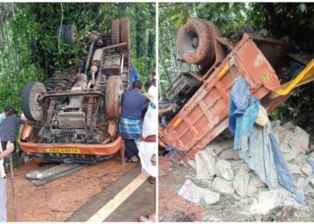 ವಿಟ್ಲ : ನಾಯಿ ಪ್ರಾಣ ಉಳಿಸಲು ಹೋಗಿ ಸಿಮೆಂಟ್ ಲಾರಿ ಪಲ್ಟಿ : ಚಾಲಕ ಪಾರು