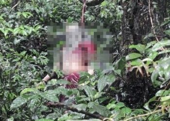 ಸುಬ್ರಹ್ಮಣ್ಯ ದೇವಸ್ಥಾನಕ್ಕೆಂದು ಬಂದ ಮಹಿಳೆ ಅರಣ್ಯ ಪ್ರದೇಶದಲ್ಲಿ ಆತ್ಮಹತ್ಯೆ..!!!