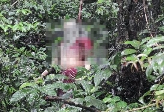 ಸುಬ್ರಹ್ಮಣ್ಯ ದೇವಸ್ಥಾನಕ್ಕೆಂದು ಬಂದ ಮಹಿಳೆ ಅರಣ್ಯ ಪ್ರದೇಶದಲ್ಲಿ ಆತ್ಮಹತ್ಯೆ..!!!