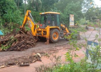ಕುಂಡಡ್ಕ : ರಸ್ತೆಗೆ ಉರುಳಿದ ಮರ ತೆರವು