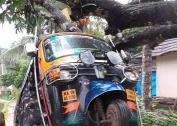 ವಿಟ್ಲ : ಮರಕ್ಕೆ ಸಿಕ್ಕಿ ಹಾಕಿಕೊಂಡ ಆಟೋ ರಿಕ್ಷಾ..!!!