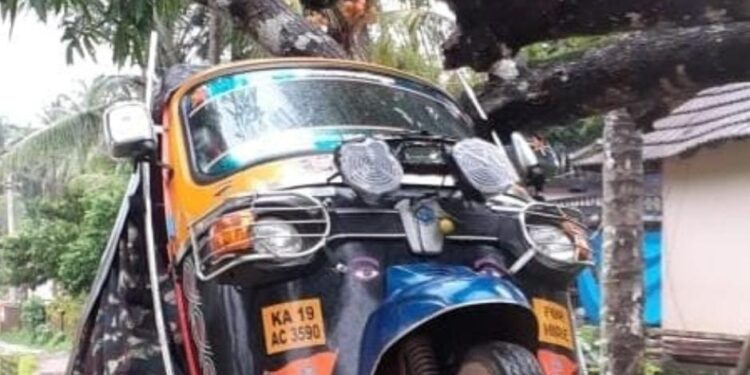 ವಿಟ್ಲ : ಮರಕ್ಕೆ ಸಿಕ್ಕಿ ಹಾಕಿಕೊಂಡ ಆಟೋ ರಿಕ್ಷಾ..!!!