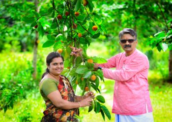 ಸಾಮೆತ್ತಡ್ಕ ಪರಿಸರವನ್ನು ನೈಸರ್ಗಿಕ ತಾಣವಾನ್ನಗಿಸಿದ ‘ಸರ್ವೇಯರ್’ : ತಾಣದ ಚಿತ್ರಣ ಬದಲಾಯಿಸಿ ಕದಂಬ ವೃಕ್ಷೋದ್ಯಾನವನ ನಿರ್ಮಿಸಿದ ಪರಿಸರಪ್ರೇಮಿ ದಂಪತಿಗಳ ಕುಟುಂಬ
