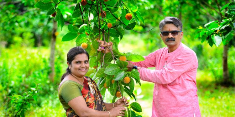 ಸಾಮೆತ್ತಡ್ಕ ಪರಿಸರವನ್ನು ನೈಸರ್ಗಿಕ ತಾಣವಾನ್ನಗಿಸಿದ ‘ಸರ್ವೇಯರ್’ : ತಾಣದ ಚಿತ್ರಣ ಬದಲಾಯಿಸಿ ಕದಂಬ ವೃಕ್ಷೋದ್ಯಾನವನ ನಿರ್ಮಿಸಿದ ಪರಿಸರಪ್ರೇಮಿ ದಂಪತಿಗಳ ಕುಟುಂಬ