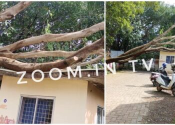 ಪುತ್ತೂರು : ನೆಲಕ್ಕುರುಳಿದ ಬೃಹತ್ ಗಾತ್ರದ ಮರ : ಸರಕಾರಿ ಆಸ್ಪತ್ರೆಯ ಆಂಬ್ಯುಲೆನ್ಸ್ ಚಾಲಕರ ಕೊಠಡಿಗೆ ಹಾನಿ..!!!