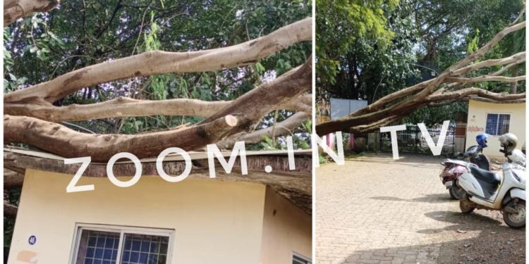 ಪುತ್ತೂರು : ನೆಲಕ್ಕುರುಳಿದ ಬೃಹತ್ ಗಾತ್ರದ ಮರ : ಸರಕಾರಿ ಆಸ್ಪತ್ರೆಯ ಆಂಬ್ಯುಲೆನ್ಸ್ ಚಾಲಕರ ಕೊಠಡಿಗೆ ಹಾನಿ..!!!