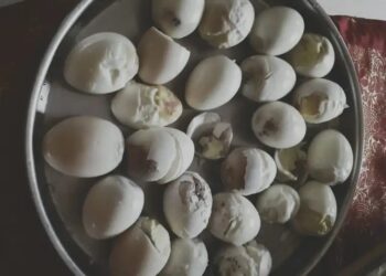 ಮಂಗಳೂರು : ಕೊಳೆತ ಮೊಟ್ಟೆ ಪೂರೈಕೆ : ಗರ್ಭಿಣಿ ಮಹಿಳೆ, ಮಕ್ಕಳು ಅಸ್ವಸ್ಥ