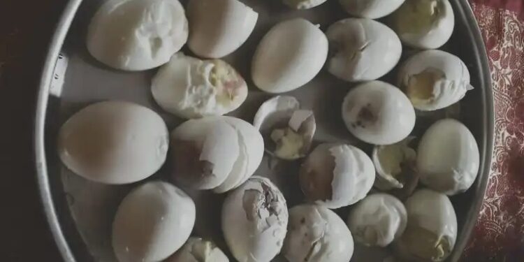 ಮಂಗಳೂರು : ಕೊಳೆತ ಮೊಟ್ಟೆ ಪೂರೈಕೆ : ಗರ್ಭಿಣಿ ಮಹಿಳೆ, ಮಕ್ಕಳು ಅಸ್ವಸ್ಥ