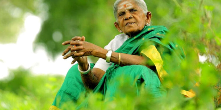 ಮನೆಯಲ್ಲಿ ಕಾಲು ಜಾರಿ ಬಿದ್ದ ಸಾಲುಮರದ ತಿಮ್ಮಕ್ಕ : ಆಸ್ಪತ್ರೆಗೆ ದಾಖಲು