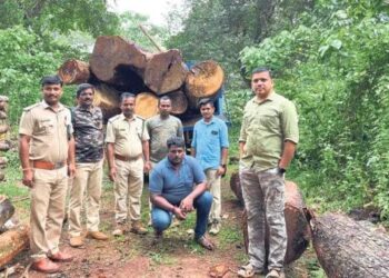 ಉಪ್ಪಿನಂಗಡಿ : ಮರ ಅಕ್ರಮ ಸಾಗಾಟ ಪತ್ತೆ : ಓರ್ವನ ಬಂಧನ