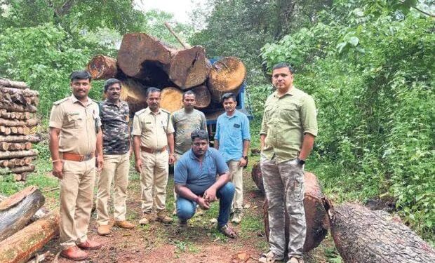 ಉಪ್ಪಿನಂಗಡಿ : ಮರ ಅಕ್ರಮ ಸಾಗಾಟ ಪತ್ತೆ : ಓರ್ವನ ಬಂಧನ