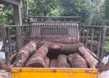 ಬಂಟ್ವಾಳ : ಲಕ್ಷಾಂತರ ರೂ. ಮೌಲ್ಯದ ಅಕ್ರಮ ಮರ ಸಾಗಾಟ : ಸೊತ್ತುಗಳು ಪೊಲೀಸ್ ವಶ..!!