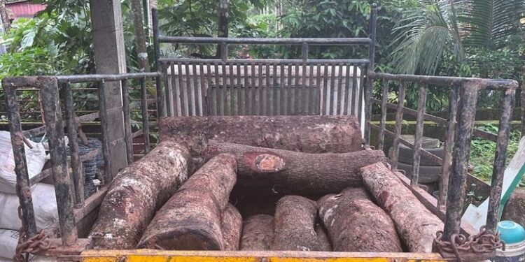 ಬಂಟ್ವಾಳ : ಲಕ್ಷಾಂತರ ರೂ. ಮೌಲ್ಯದ ಅಕ್ರಮ ಮರ ಸಾಗಾಟ : ಸೊತ್ತುಗಳು ಪೊಲೀಸ್ ವಶ..!!