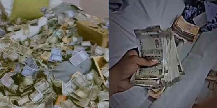 ಜ್ಯೋತಿಷಿ ಮನೆಯಲ್ಲಿ ಹಣ ಕದ್ದು..,ಕಂತೆ ಕಂತೆ ನೋಟುಗಳ ಜೊತೆ ರೀಲ್ಸ್​ ಮಾಡಿ ತಗ್ಲಾಕಿಕೊಂಡ್ರು..!! ಕಳ್ಳರೂ ಯೂಸ್ ಮಾಡ್ತಾರೆ, ಇನ್​​ಸ್ಟಾ, ಫೇಸ್​ಬುಕ್..!