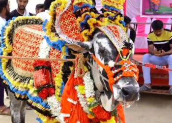 ‘ರಾಕ್ಷಸ 220’ ಅದ್ಧೂರಿ ಬರ್ತ್​ಡೇ : 22 ಕೆಜಿ ಕೇಕ್, 50ಕ್ಕೂ ಹೆಚ್ಚು ಯುವಕರಿಂದ ರಕ್ತದಾನ ; ರಾಜ್ಯಾದ್ಯಂತ ಸುದ್ದಿಯಾಗ್ತಿದೆ ಈ ಬರ್ತ್​ಡೇ ಸೆಲೆಬ್ರೇಶನ್