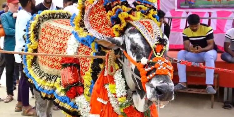 ‘ರಾಕ್ಷಸ 220’ ಅದ್ಧೂರಿ ಬರ್ತ್ಡೇ : 22 ಕೆಜಿ ಕೇಕ್, 50ಕ್ಕೂ ಹೆಚ್ಚು ಯುವಕರಿಂದ ರಕ್ತದಾನ ; ರಾಜ್ಯಾದ್ಯಂತ ಸುದ್ದಿಯಾಗ್ತಿದೆ ಈ ಬರ್ತ್ಡೇ ಸೆಲೆಬ್ರೇಶನ್