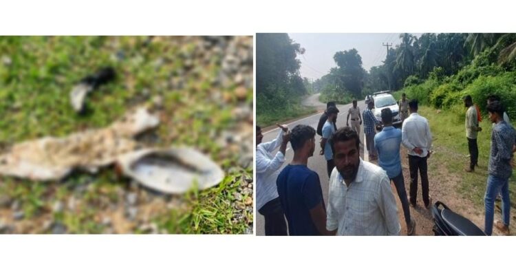 ವಿಟ್ಲ : ಕೊಟ್ಟಾರಿಕಟ್ಟೆ ಬಸ್ ನಿಲ್ದಾಣದ ಬಳಿ ಕತ್ತರಿಸಿದ ದನದ ಕಿವಿ ಪತ್ತೆ..!!!