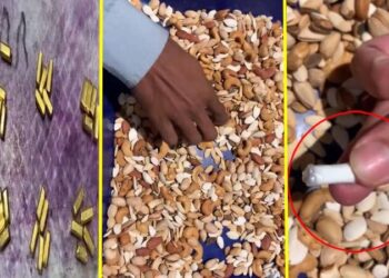 ಡ್ರೈ ಫ್ರೂಟ್ಸ್‌ನಲ್ಲಿ ಗೋಲ್ಡ್ ಸ್ಮಗ್ಲಿಂಗ್‌ : ಏರ್‌ಪೋರ್ಟ್‌ಗಳಲ್ಲಿ ಕಳ್ಳರ ಖತರ್ನಾಕ್ ಐಡಿಯಾ ಬೇಧಿಸಿದ ಅಧಿಕಾರಿಗಳು