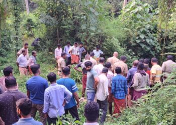 ಪುತ್ತೂರು : ಕೆರೆಗೆ ಬಿದ್ದು ವ್ಯಕ್ತಿ ಮೃತ್ಯು..!!