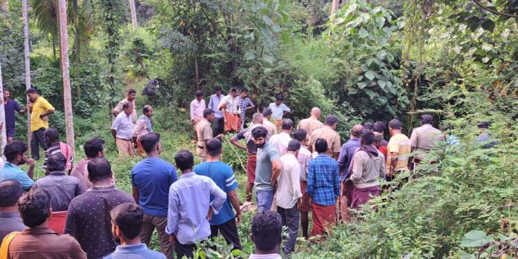 ಪುತ್ತೂರು : ಕೆರೆಗೆ ಬಿದ್ದು ವ್ಯಕ್ತಿ ಮೃತ್ಯು..!!