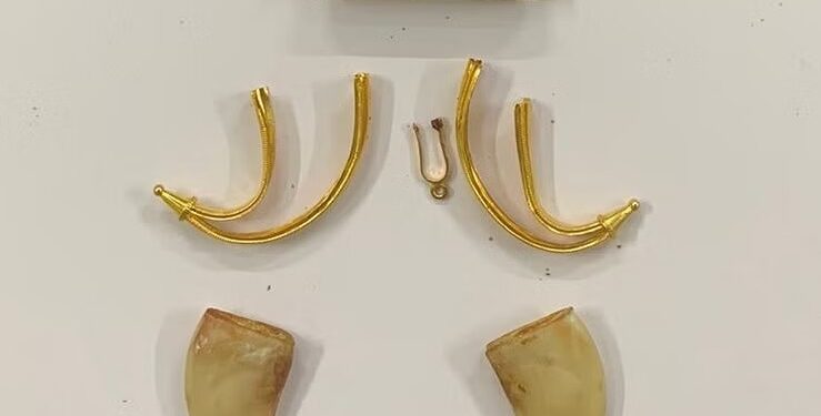 ಹುಲಿ ಉಗುರು ಪ್ರಕರಣ : ‘ಯಾರೇ ಇರಲಿ ಕಾನೂನಿನಡಿಯಲ್ಲಿ ಕ್ರಮ’ – ಅರಣ್ಯ ಸಚಿವ ಈಶ್ವರ ಖಂಡ್ರೆ