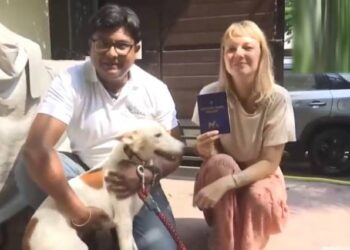 ನೆದರ್ಲೆಂಡ್​ ಮಹಿಳೆಯ ಮನಸ್ಸು ಗೆದ್ದ ಬೀದಿ ನಾಯಿ : ‘ಜಯಾ’ಳಿಗಾಗಿ ವೀಸಾ, ಪಾಸ್​ಪೋರ್ಟ್​ ರೆಡಿ