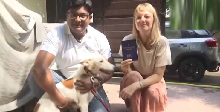 ನೆದರ್ಲೆಂಡ್​ ಮಹಿಳೆಯ ಮನಸ್ಸು ಗೆದ್ದ ಬೀದಿ ನಾಯಿ : ‘ಜಯಾ’ಳಿಗಾಗಿ ವೀಸಾ, ಪಾಸ್​ಪೋರ್ಟ್​ ರೆಡಿ