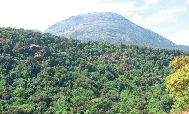 ಸುಬ್ರಹ್ಮಣ್ಯ : ಕುಮಾರಪರ್ವತ ಚಾರಣಕ್ಕೆ ನಿರ್ಬಂಧ..!!