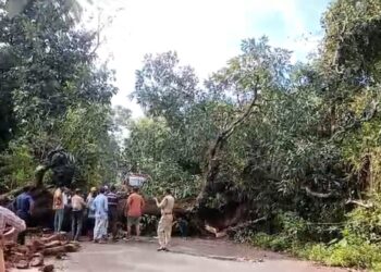 ಪುತ್ತೂರು : ಕಲ್ಲಿಮಾರ್ ನಲ್ಲಿ ರಸ್ತೆಗೆ ಅಡ್ಡಲಾಗಿ ಬಿದ್ದ ಬೃಹತ್ ಗಾತ್ರದ ಮರ : ವಿದ್ಯುತ್ ಕಂಬ, ಕಾಂಪೌಂಡ್ ಗೆ ಹಾನಿ