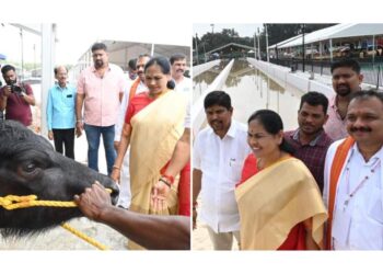 ಬೆಂಗಳೂರು ಕಂಬಳ ನಮ್ಮ ಕಂಬಳ : ಕರೆ ವೀಕ್ಷಿಸಿ, ಕೋಣಗಳ ಆರೋಗ್ಯ ವಿಚಾರಿಸಿದ ಕೇಂದ್ರ ಸಚಿವೆ ಶೋಭಾ ಕರಂದ್ಲಾಜೆ